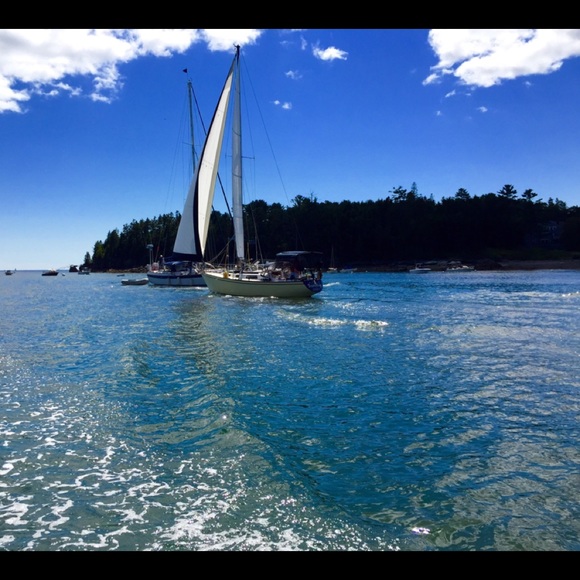 Meet your Posher, Barb - Picture 4 of 6